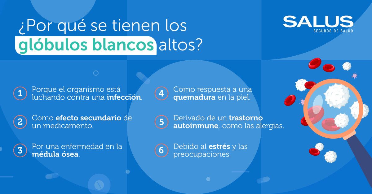 ¿Por qué se tienen los glóbulos blancos altos?